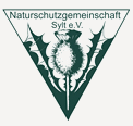 nsg logo2